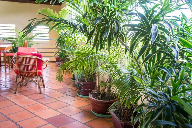 Visal Sak Guesthouse Kep Luaran gambar